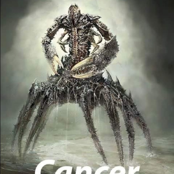 Meet your Posher, Amos - Picture 1 of 3